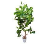 Floor Planter UG-1000011