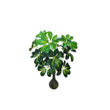 Floor Planter UG-1000024