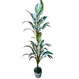 Floor Planter UG-100002