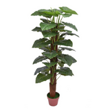 Floor Planter UG-1000046 (Imported)