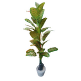 Floor Planter UG-100006