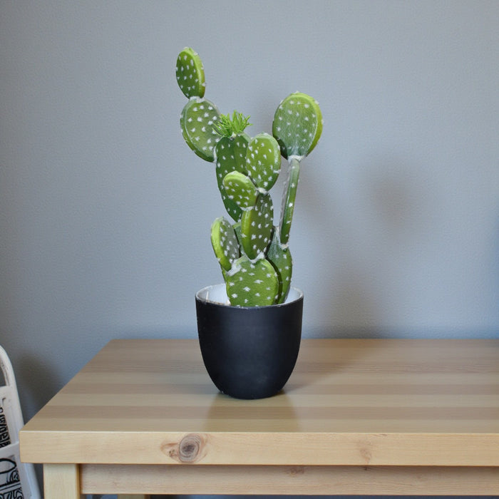 Meyo Table Planter