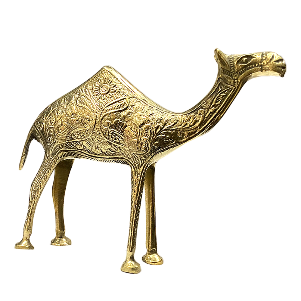 Cooper Camel Docor 10005