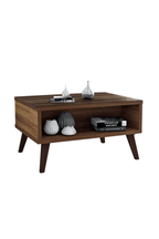 Millikan Coffee Table with Storage Slot