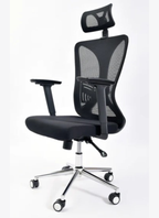 Delwis Manager Chair