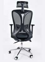Delwis Manager Chair
