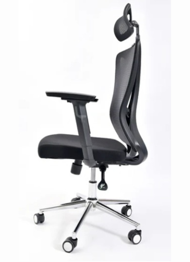 Delwis Manager Chair