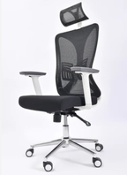 Delwis Manager Chair