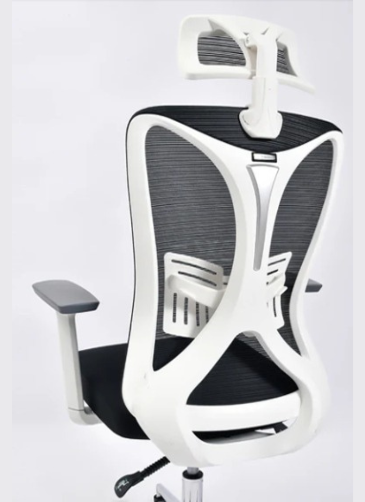 Delwis Manager Chair
