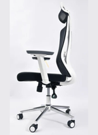 Delwis Manager Chair