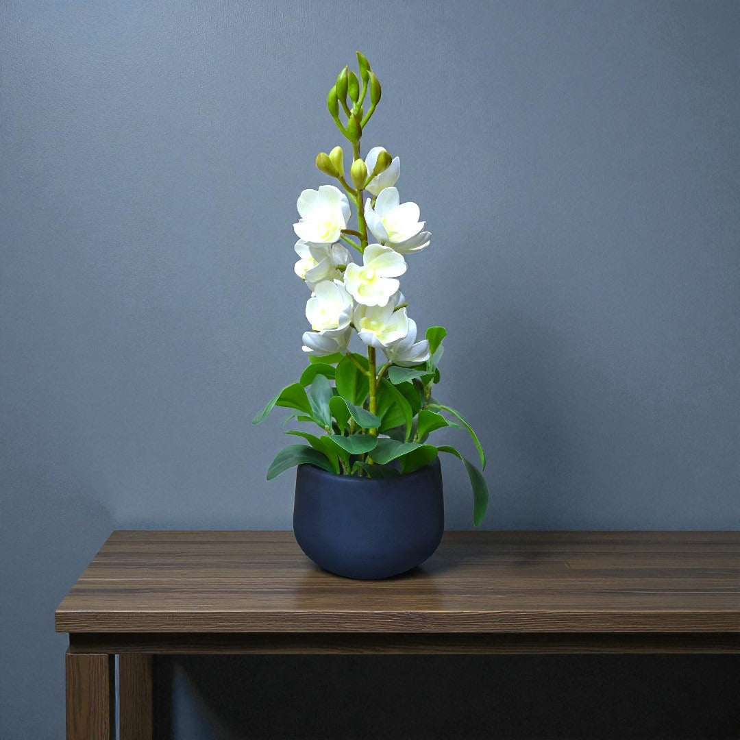 Silva Table Planter