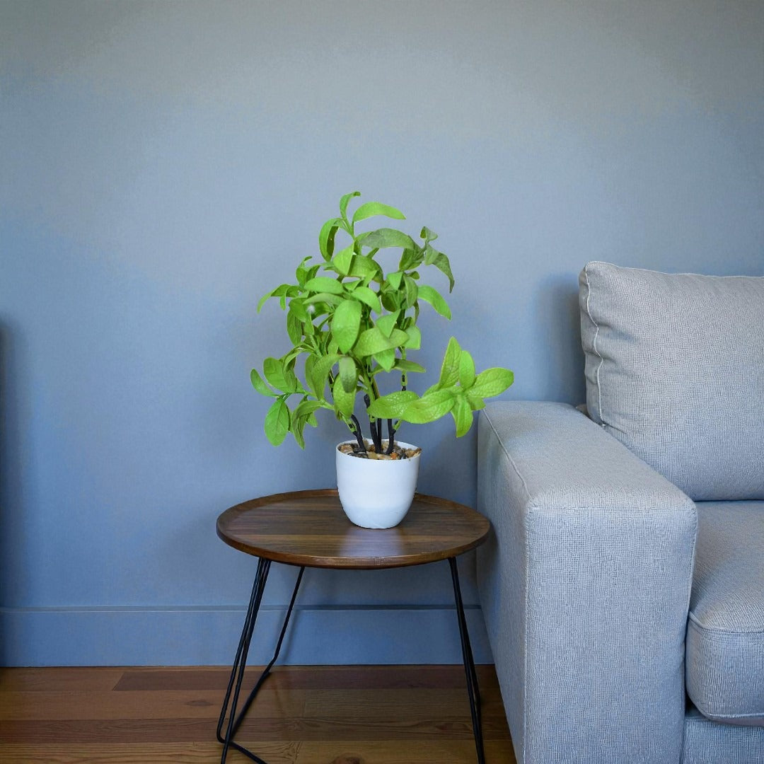 ReRoot Table Planter