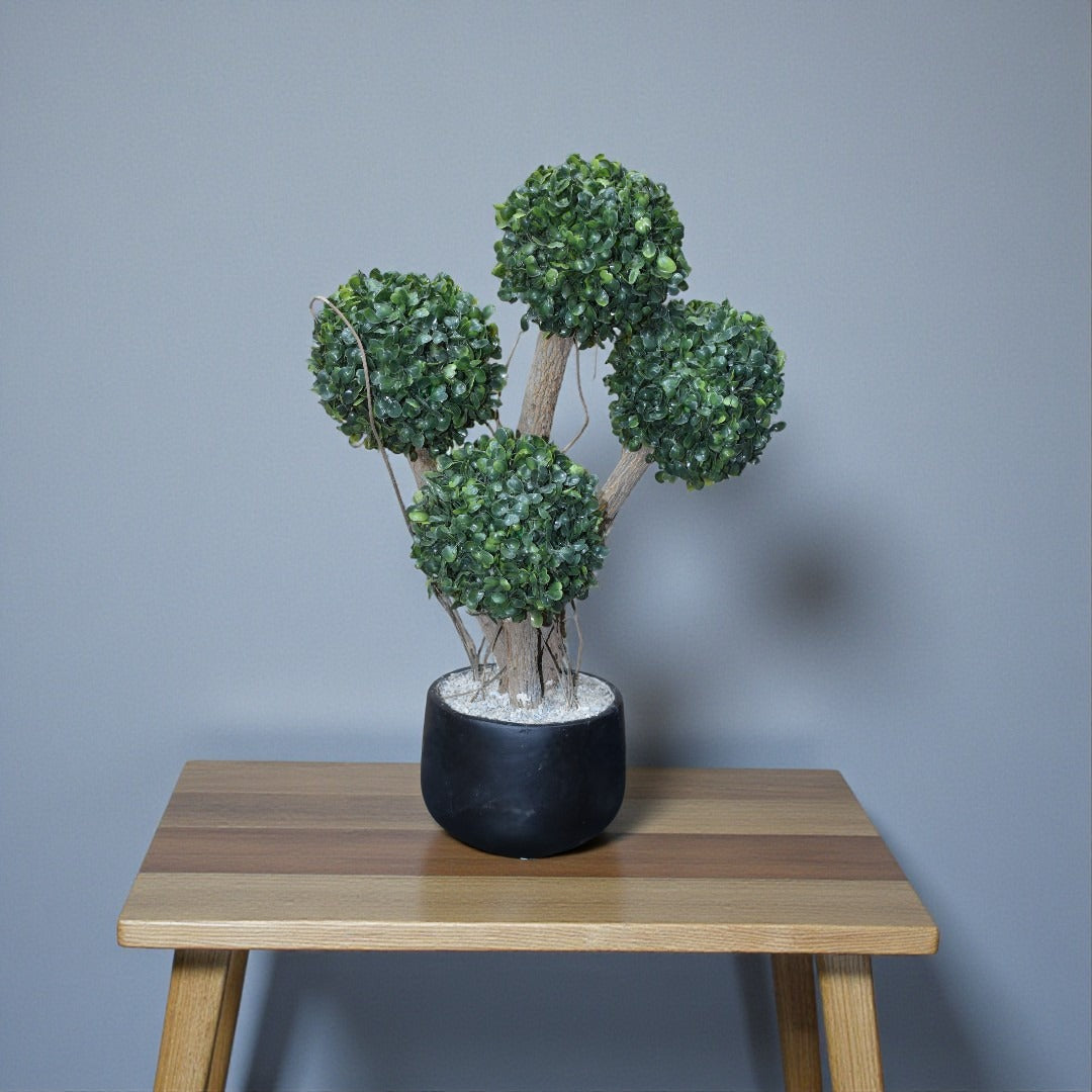 4 Sprouts Table Planter