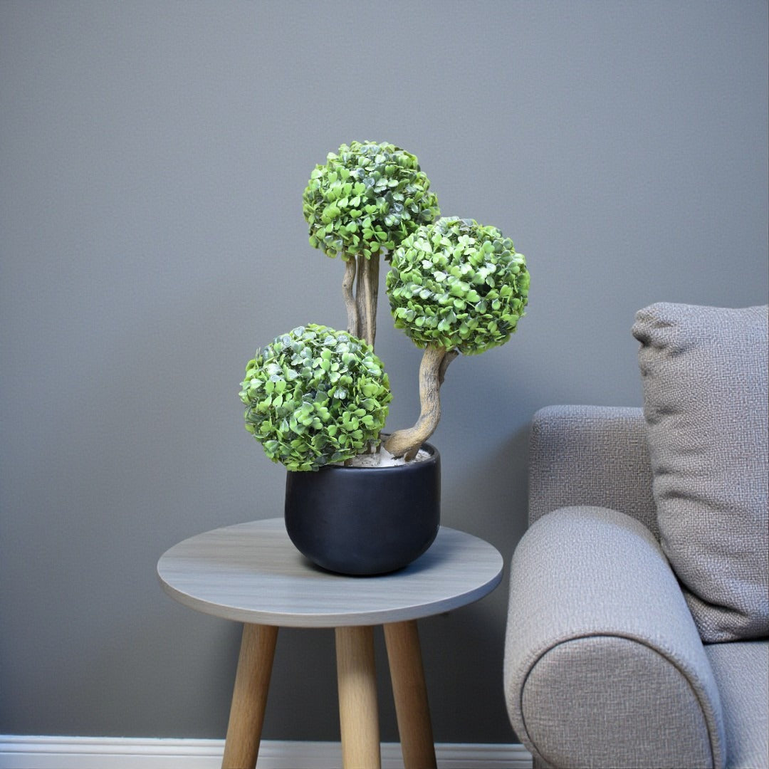 3 Sprouts Table Planter