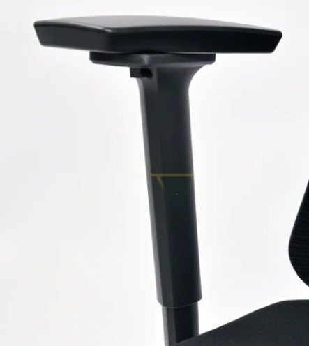 Delwis Manager Chair