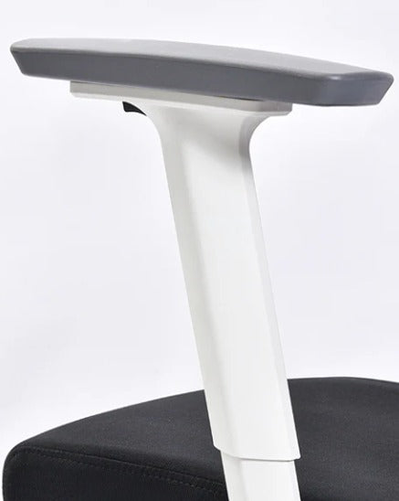 Delwis Manager Chair