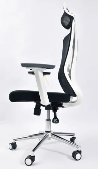 Delwis Manager Chair