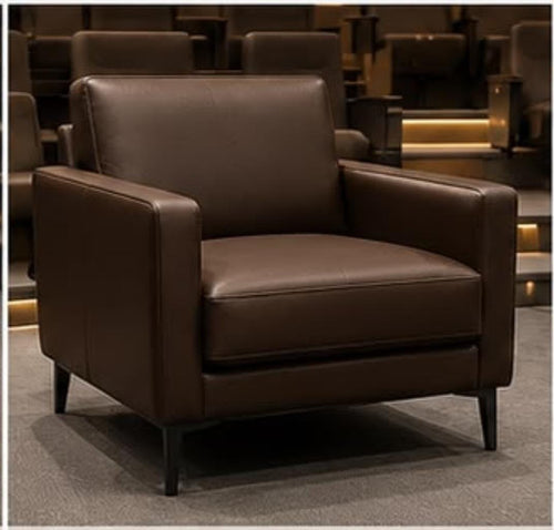 Abhi Single Seater Sofa