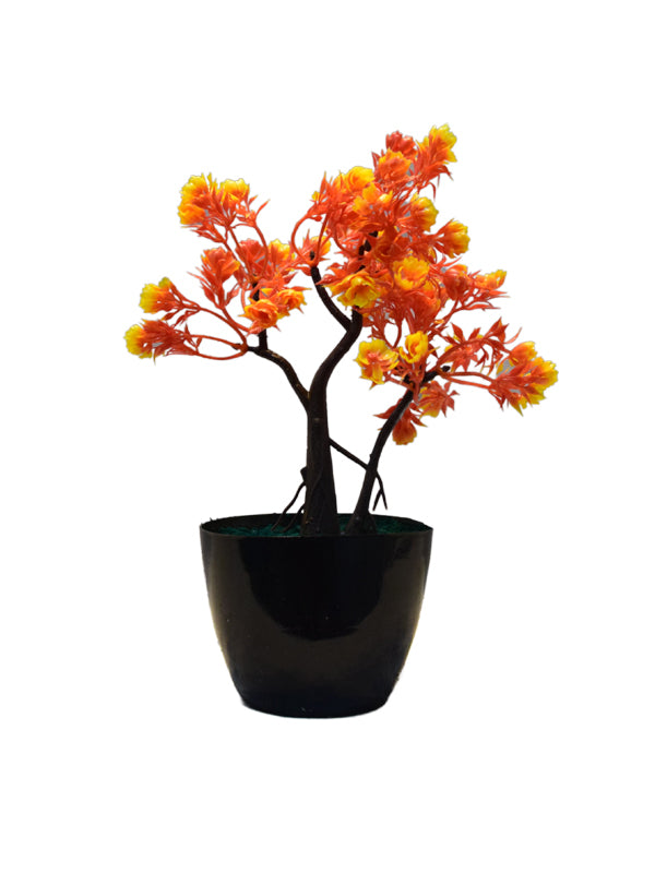 Emiliano tree planter