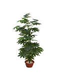 Daecola Plant Pot