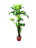 Palmate Green Planter