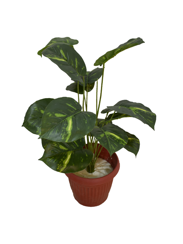 San Jock Plant Pot