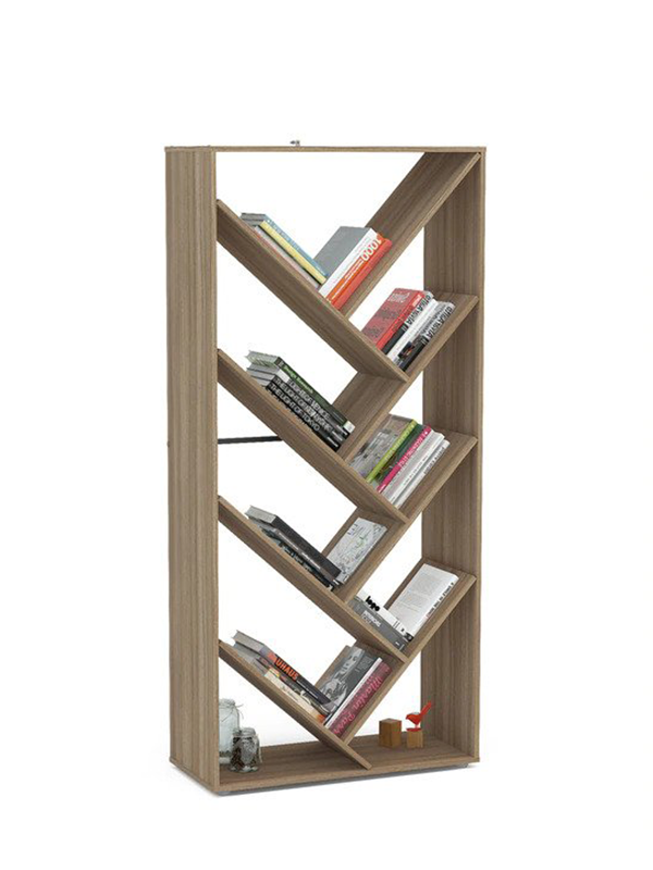 Tisha Book Shelf cum Display Unit