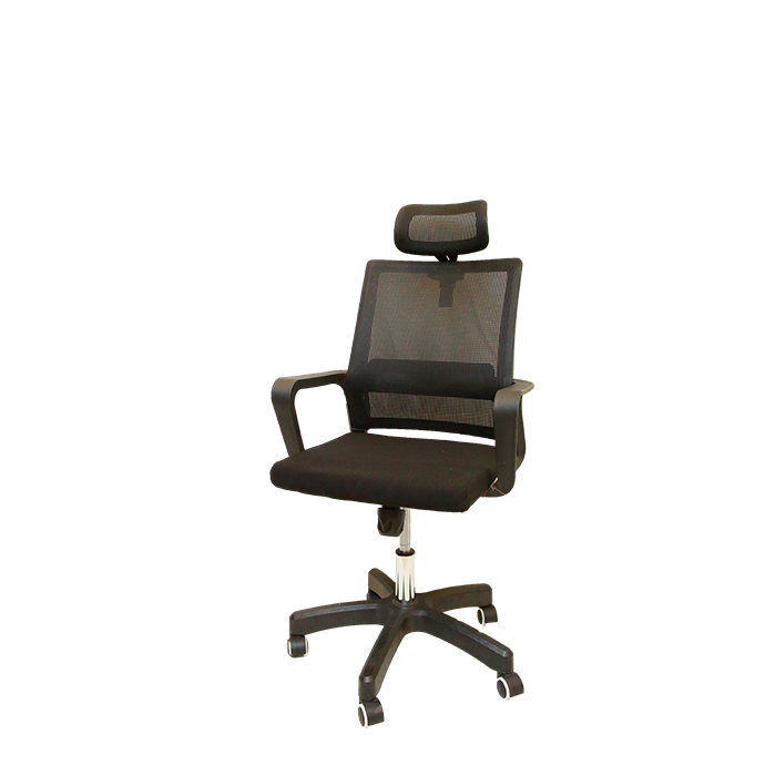 Ergohuman Task chair