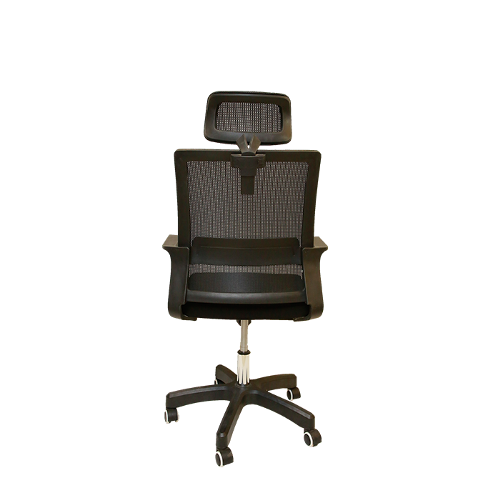 Ergohuman Task chair