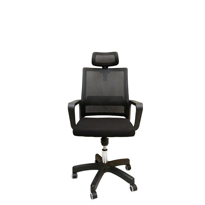 Ergohuman Task chair