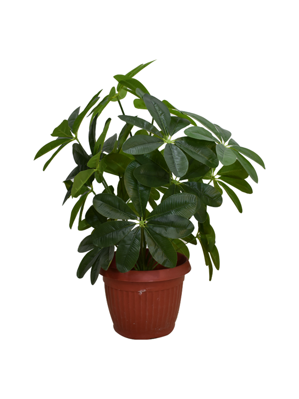 Satpura Plant Pot