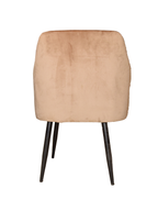 Louis Beige Chair