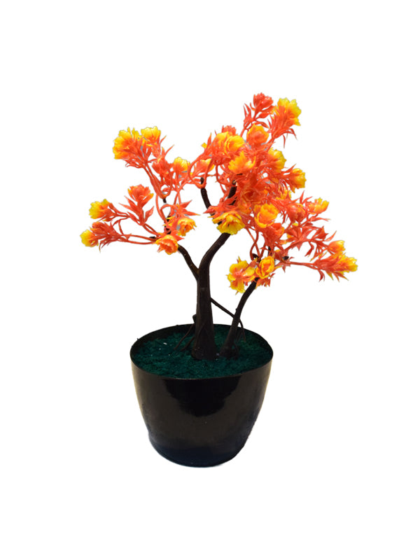 Emiliano tree planter