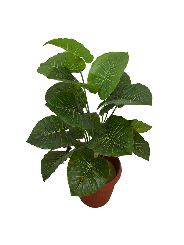 Camaila Plant Pot