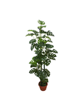 Seylerra Plant Pot