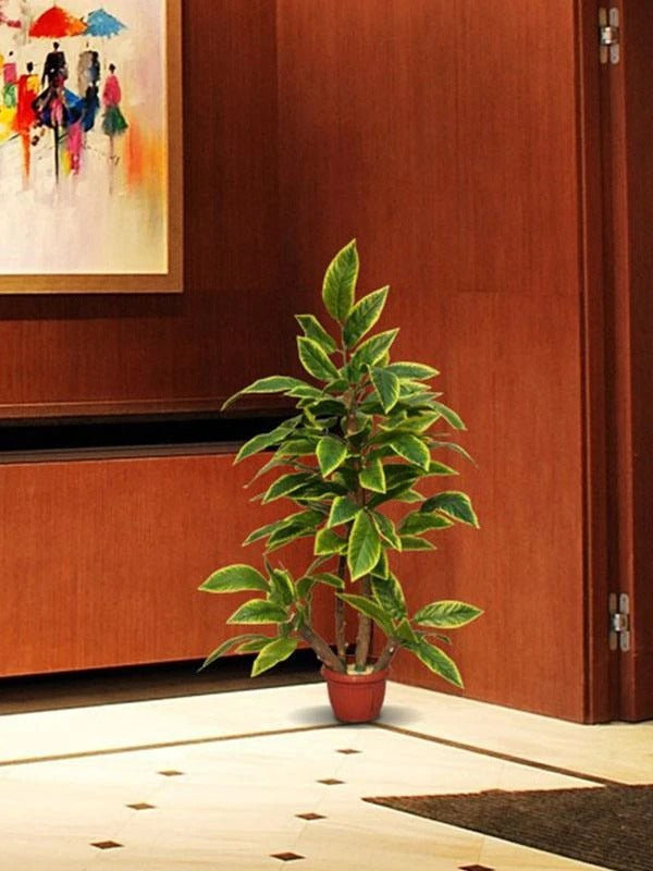 Medium Planter 12
