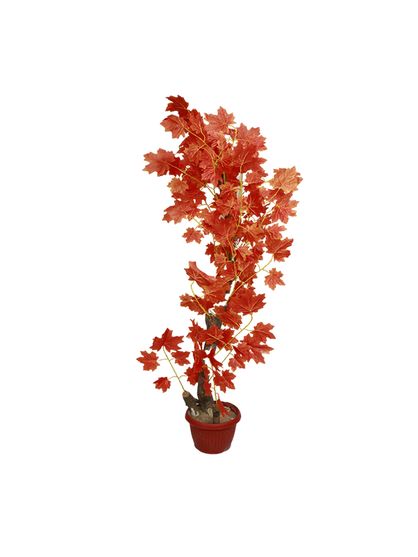 Alishia Planter-RED - Urban Galleria
