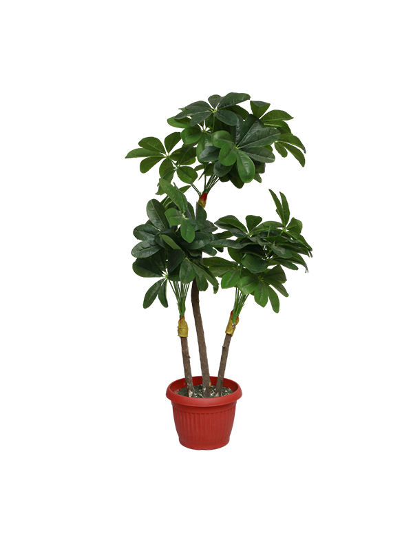 Corte Planter - Urban Galleria