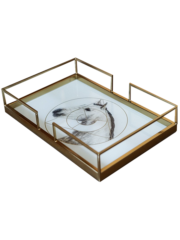 Esamin Modern Tray - White