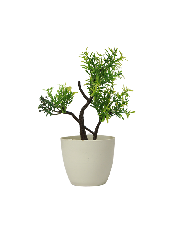 Baby Bonsai Planter - Urban Galleria