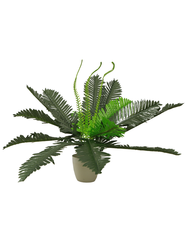 Mini Tropical leaves planter