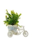 Bicycle carriage planter