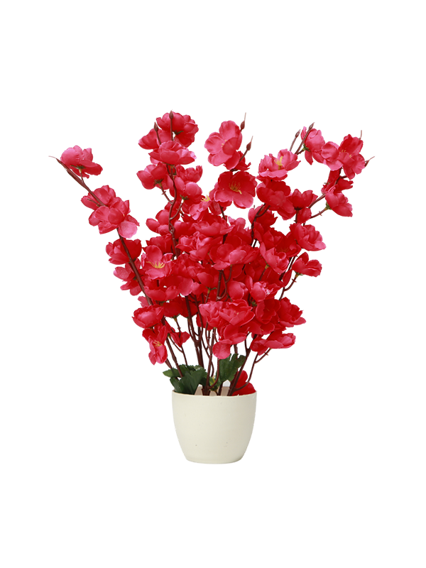 Floral pot planter-Red Flowers