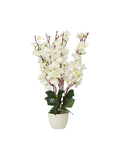 Floral Pot Planter-White flowers