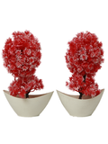 Boat pot planters-Red Puff 2 Piece