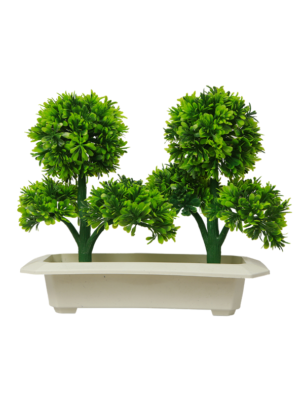 Tray planter-dual plant