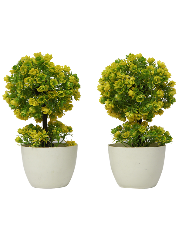 Lime foliage planter-2 Piece