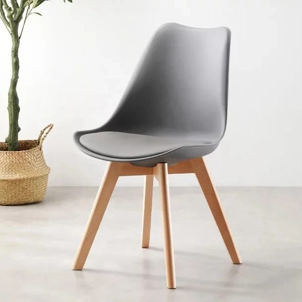 Jhony Padded Dinning Chair