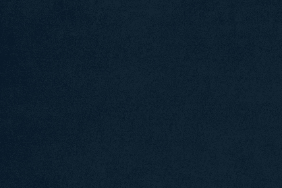 Migdalia Upholstered Bed