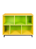 Connally Bookshelf in Yellow & Green Colour